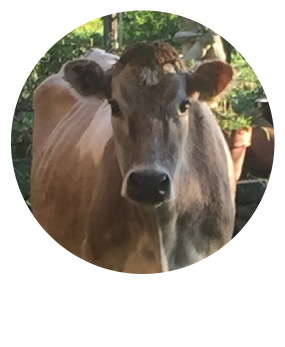 Mercy